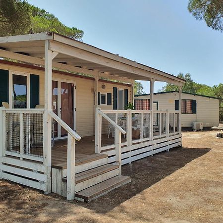 Camping Village S'Ena Arrubia أربورْيا المظهر الخارجي الصورة