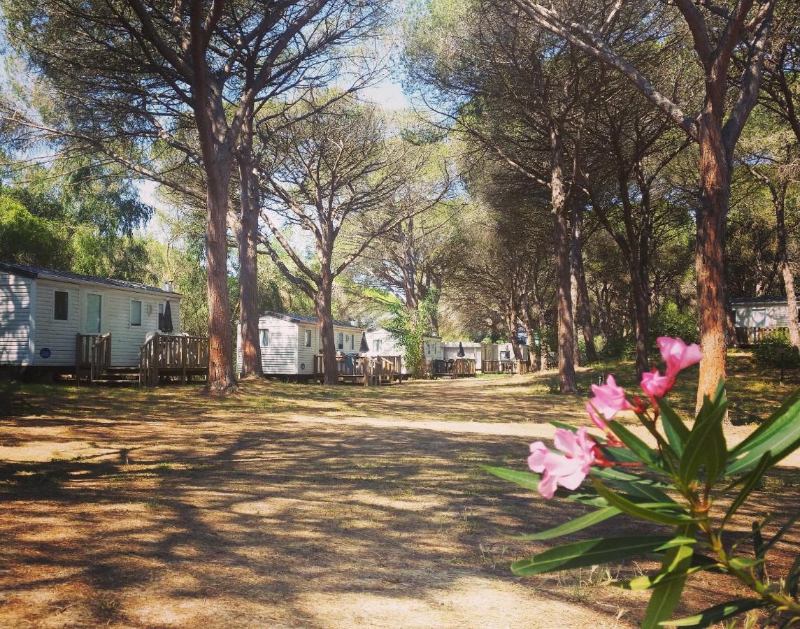 Camping Village S'Ena Arrubia أربورْيا المظهر الخارجي الصورة