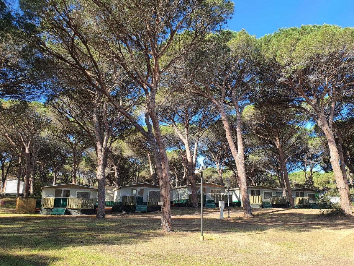 Camping Village S'Ena Arrubia أربورْيا المظهر الخارجي الصورة