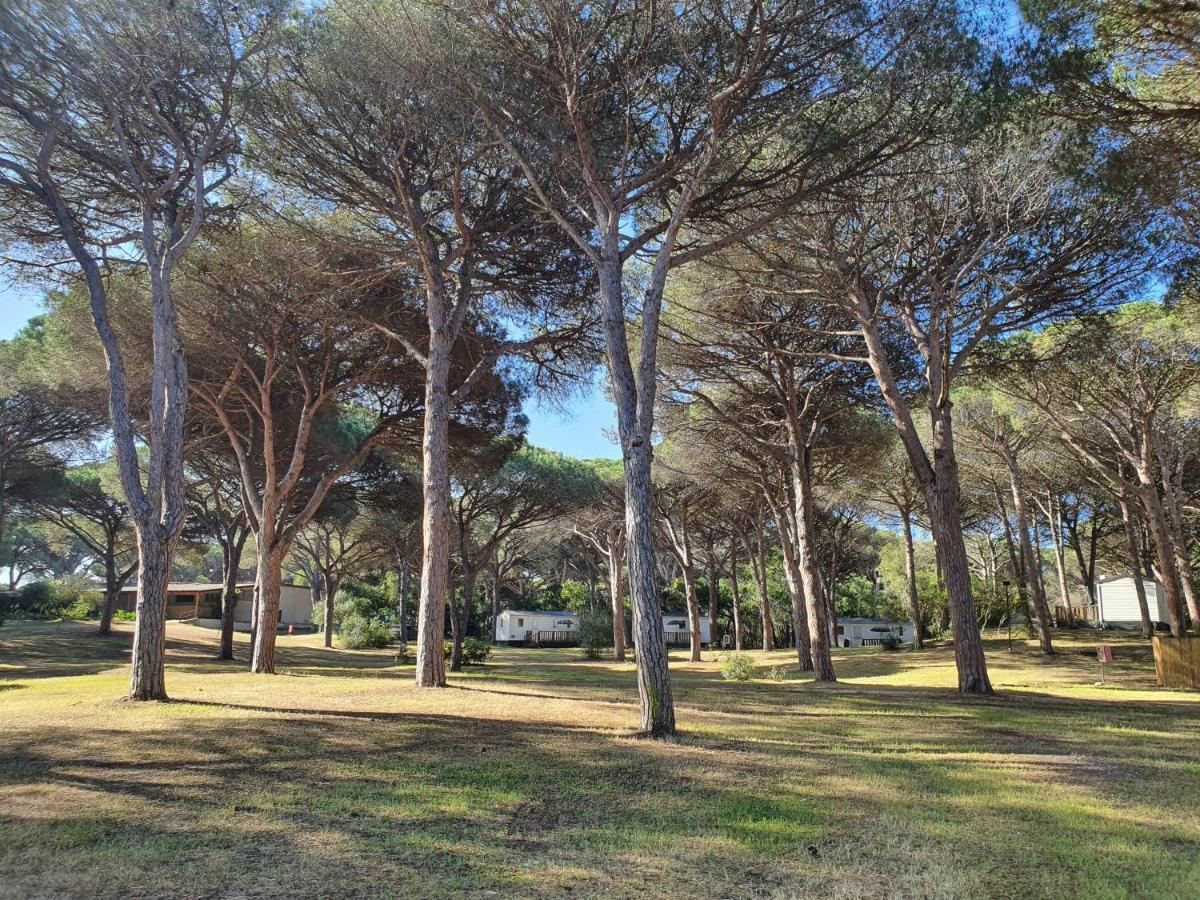 Camping Village S'Ena Arrubia أربورْيا المظهر الخارجي الصورة
