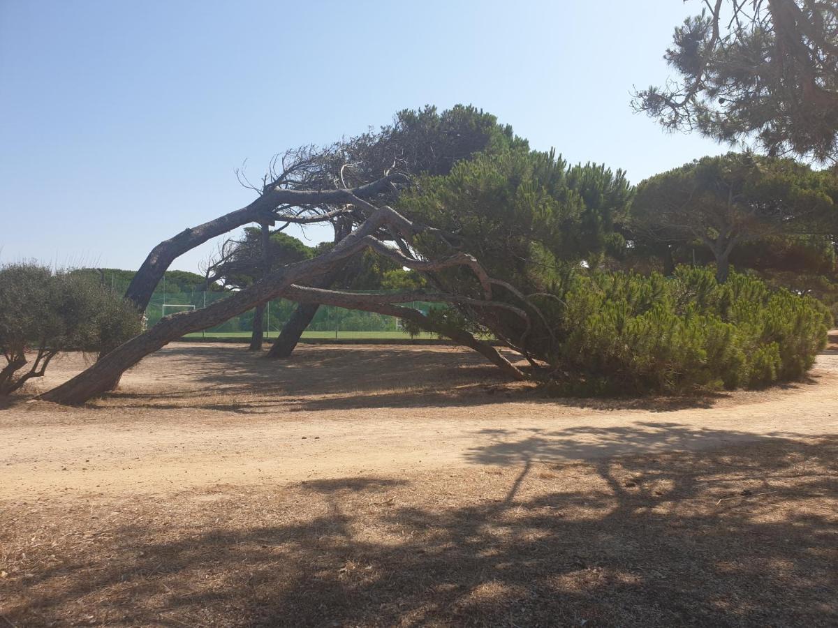 Camping Village S'Ena Arrubia أربورْيا المظهر الخارجي الصورة