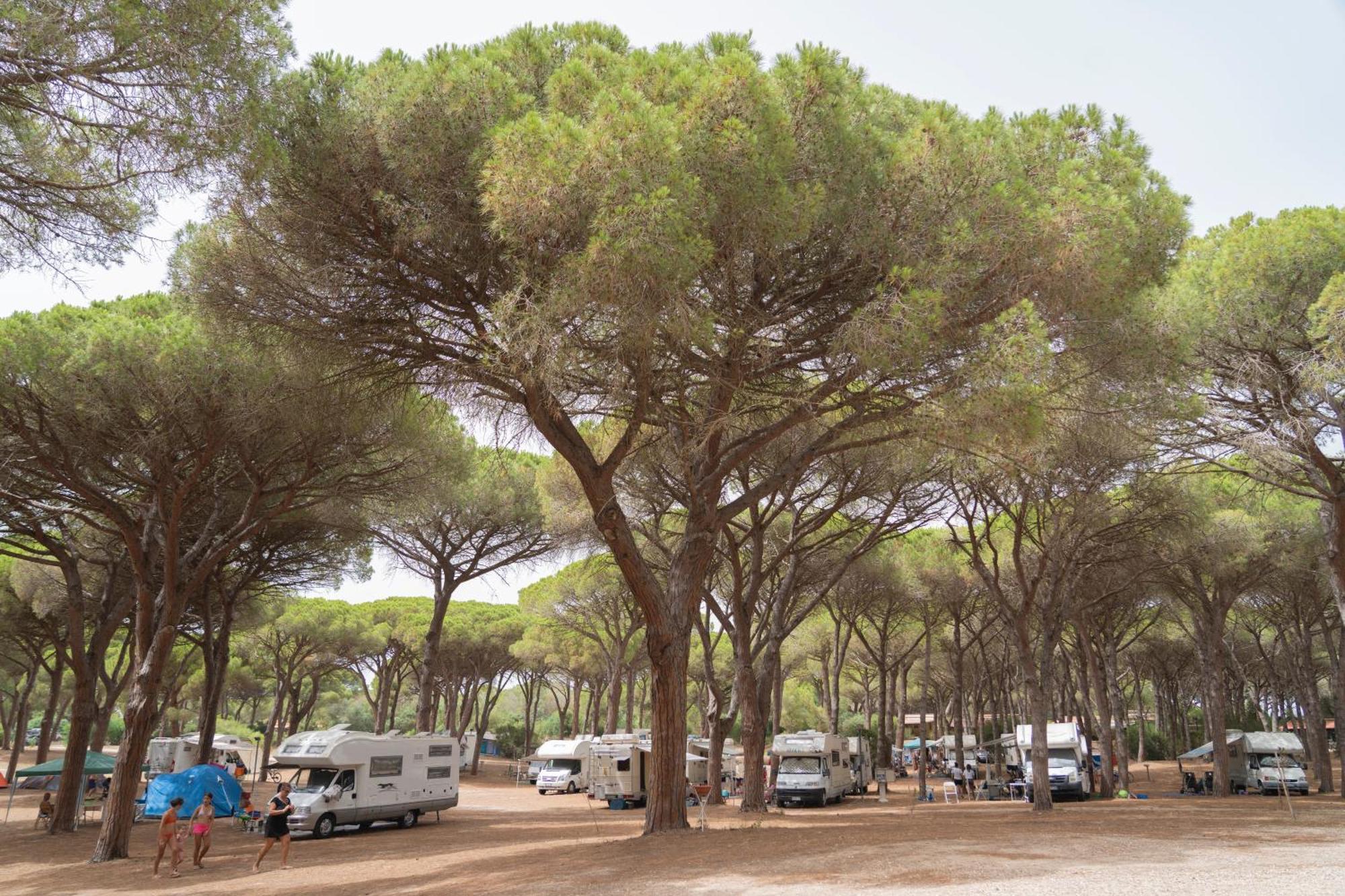 Camping Village S'Ena Arrubia أربورْيا المظهر الخارجي الصورة