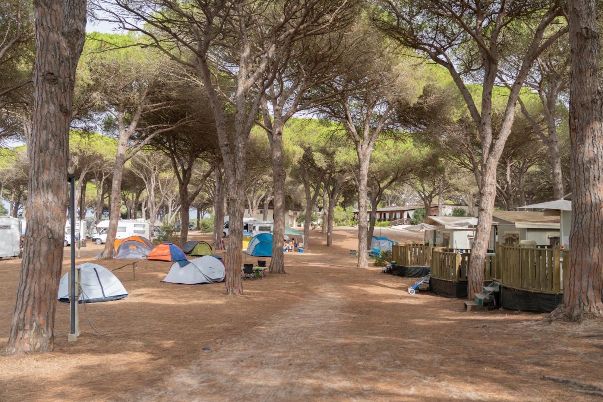Camping Village S'Ena Arrubia أربورْيا المظهر الخارجي الصورة