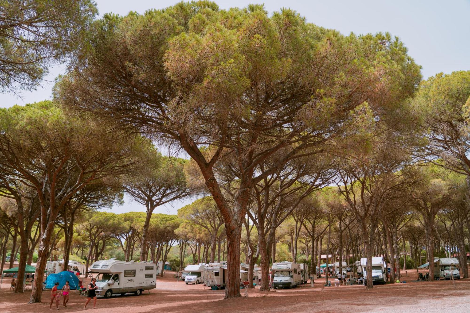 Camping Village S'Ena Arrubia أربورْيا المظهر الخارجي الصورة